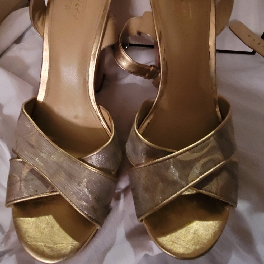 Coach strap wood hill